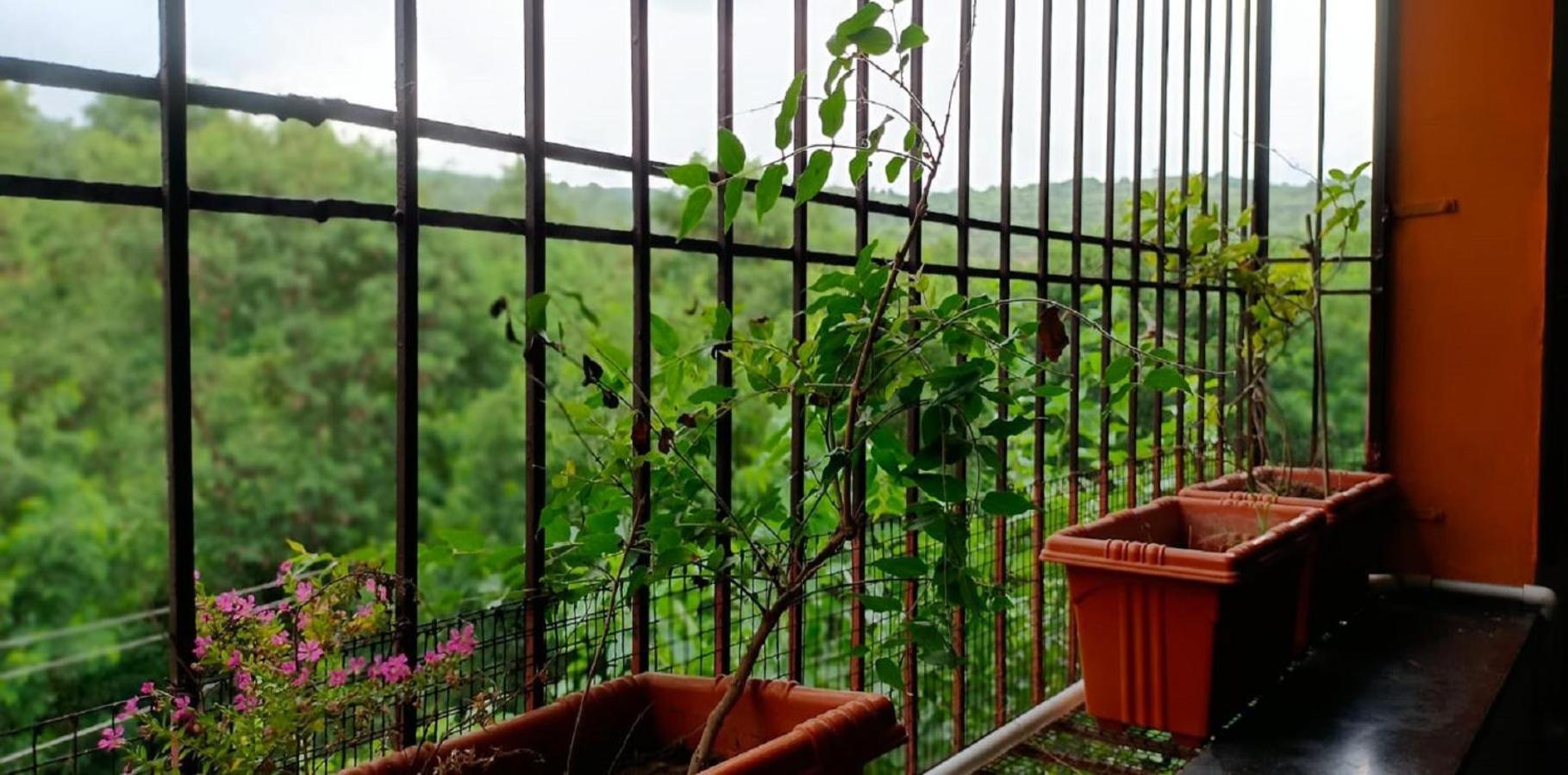 Abhayanand Agro Tourism Villa Ellora Eksteriør bilde